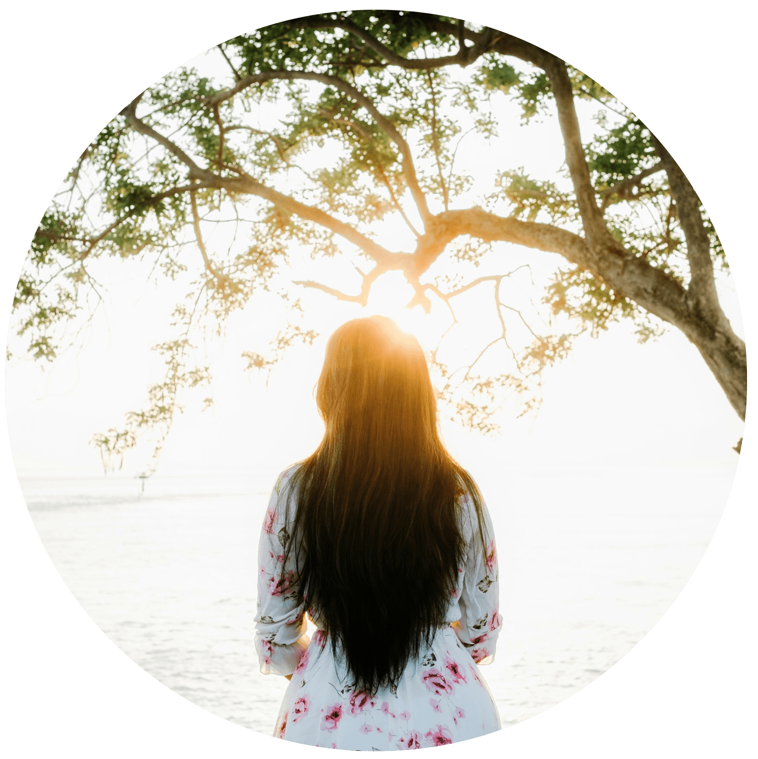 Meditation hos Lyset på Bakken Meditation hos Lyset på Bakken